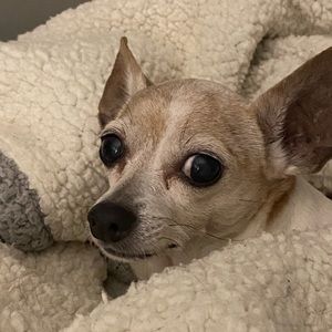 Meet your Posher, Kristen